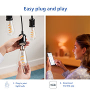 PHILIPS ST19 / Multicolor + Tunable White / 1 LED Bulbs