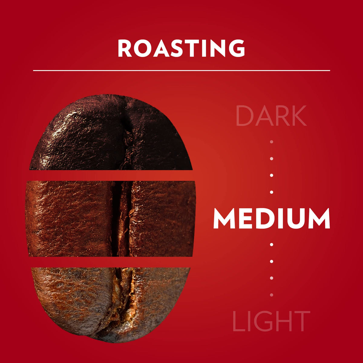 Lavazza Qualita Rossa / 8.8 Ounce (Pack of 20) / 20 Ground Coffee