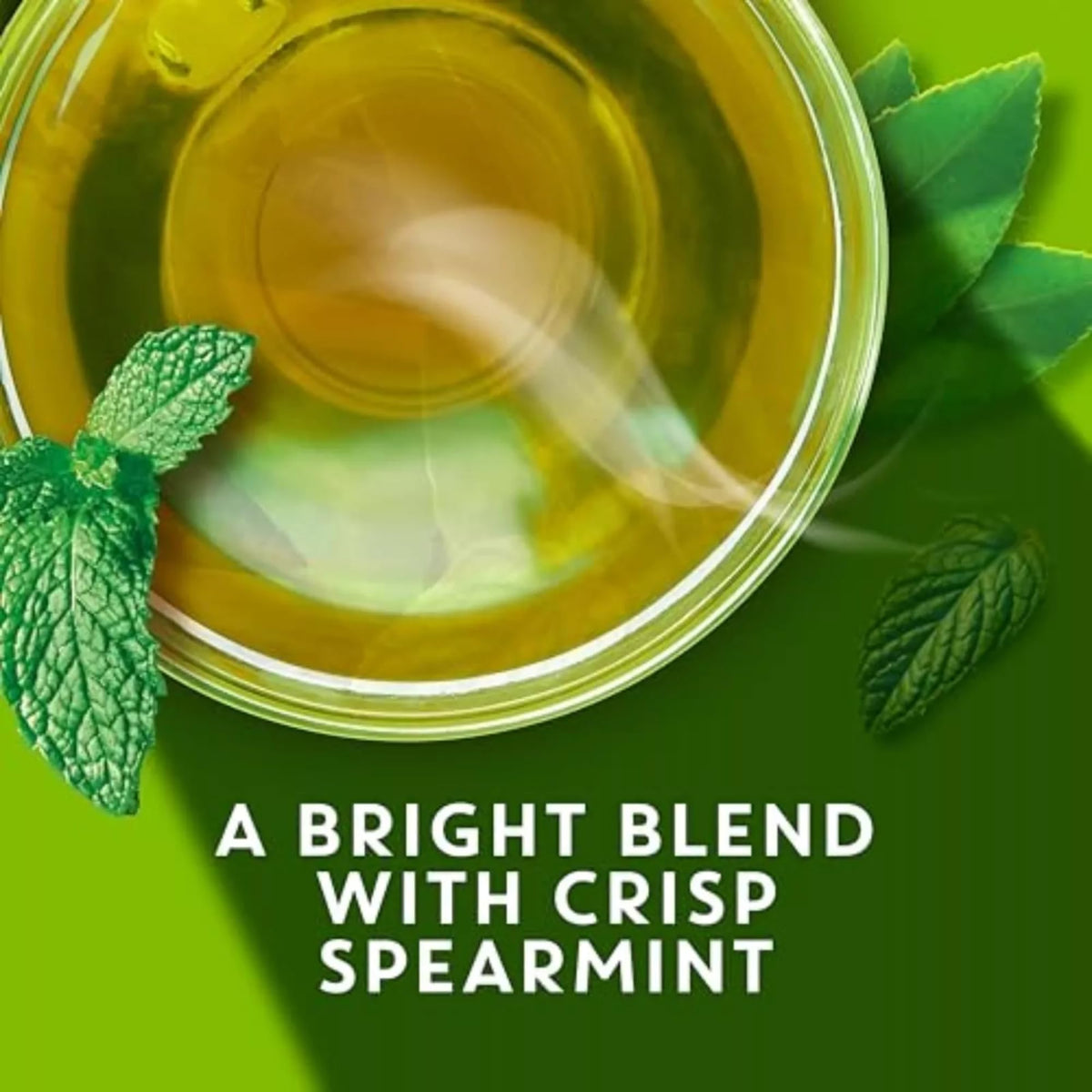 Tea Bags by TAZO – 36 Count, Green, Model 68814413