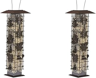 Perky-Pet 336 Squirrel-Be-Gone Wild Bird Feeder – 2 lb (Pack of 2)
