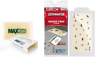 Catchmaster Mouse & Insect Glue Board Set, 36 Glue Boards & Roach Trap Glue Boards 6-Pk, Indoor Roach Trap for Home, Garage & Shed, Pet Safe Pest Control
