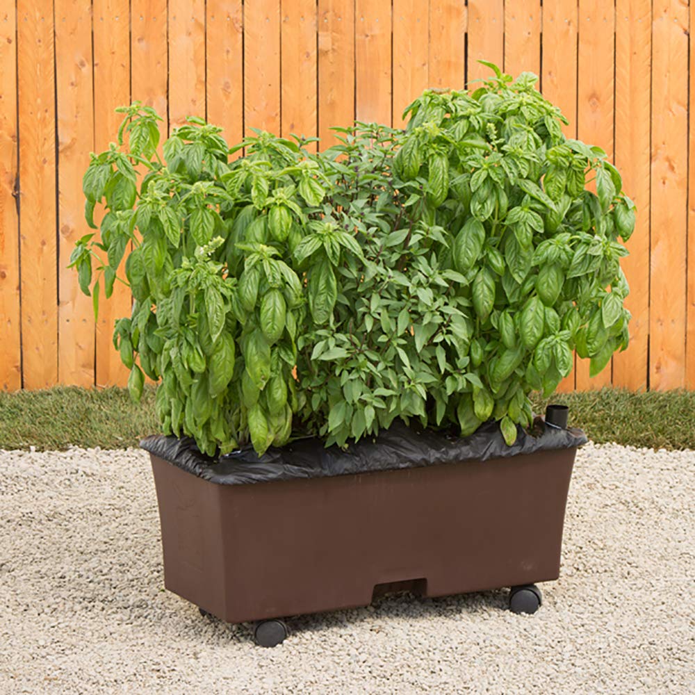 Garden Kit by EarthBox – Standard, 3 gallons, Plastic, Chocolate, Model 80103