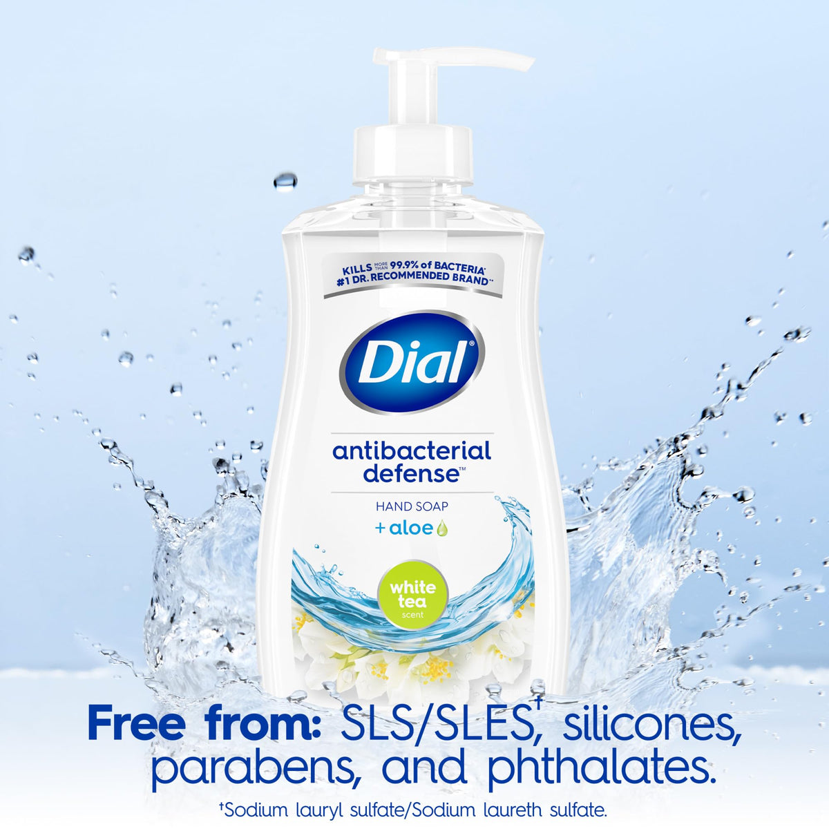 Dial 11 Fl Oz (Pack of 1) / White / 1 Hand Wash
