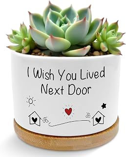 I Wish You Lived Next Door Gifts Plant Pots Succulent Planters