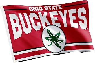 Desert Cactus Ohio State University OSU Buckeyes Flag 3x5 Outdoor (C)