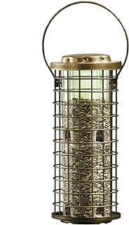 Perky-Pet 114 Squirrel Stumper Wild Bird Feeder