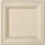 Responsible Products 100% Compostable 8 Inch Square Paper Plates Brown (500 Pack), Disposable Paper Plates Heavy Duty, Biodegradable & Eco-Friendly, Made from Sugarcane ï¼† Bamboo Fibers