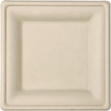 Responsible Products 100% Compostable 8 Inch Square Paper Plates Brown (500 Pack), Disposable Paper Plates Heavy Duty, Biodegradable & Eco-Friendly, Made from Sugarcane ï¼† Bamboo Fibers