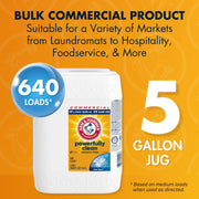 ARM & HAMMER 640 Fl Oz (Pack of 1) / Clean Burst / Blue Liquid Detergent