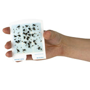 DOT StickyTech Replacement Glue Cards - Cloud by DynaTrap – cloud, Model 23005-06