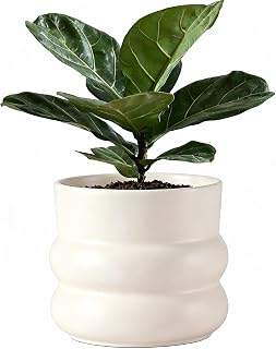 Ceramic Plant Pot,6 Inch Planters for Indoor Plants,Ceramic Planter Flower Pots with Drainage Hole,Home Office Garden Décor,(Pale Beige,Inner-pots not Larger Than 5 Inch)