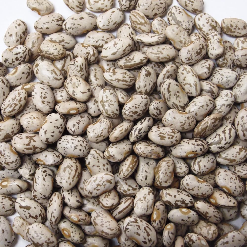 Jack Rabbit Pinto Beans by Trinidad Benham – 1 Pound (Pack of 24), Pack of 24, Model 305365100