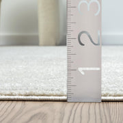 Abani 2' x 3' / Cream / Modern Area Rugs