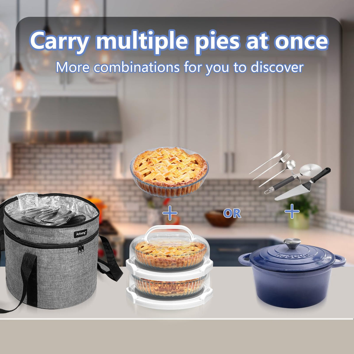 Arineng Pie Carrier Set, 10 Inch, Gray