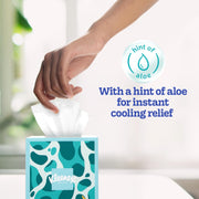 COOLTOUCH FACIAL TISSUE UPRIGHT by Kleenex – 50 Count (Pack of 1), Paper, Blue, Model 56522