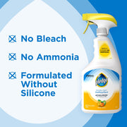 Pledge 25 Ounce (Pack of 3) / Citrus / 25 Ounce All-Purpose Cleaners