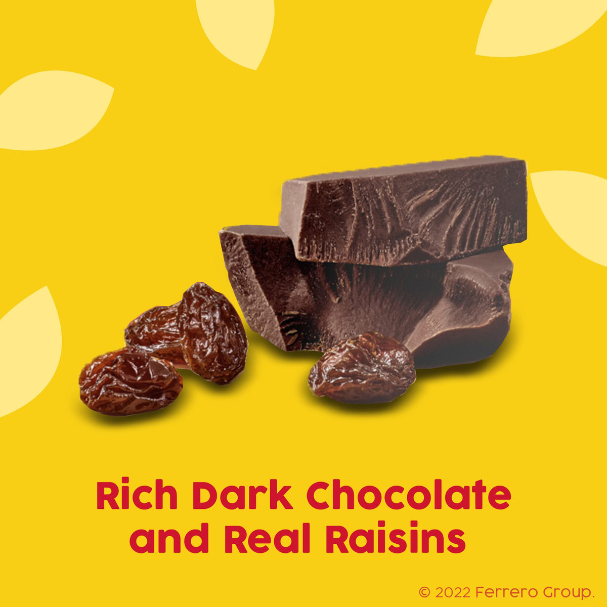 Dark Chocolate Covered Raisins by Raisinets – 8 Ounce (Pack of 8), Dark Chocolate, Pack of 8