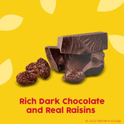 Raisinets Dark Chocolate / 8 Ounce (Pack of 8) / 1 Fruit