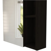 DEPOT E-SHOP Black / Small / Modern Medicine Cabinets