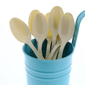 AmerCareRoyal Heavy Weight Unwrapped Disposable Polystyrene Plastic Teaspoons for Restaurants and Catering in Retail Packaging – Paper, Champagne, Pack of 1000, Model S2601XCH-C
