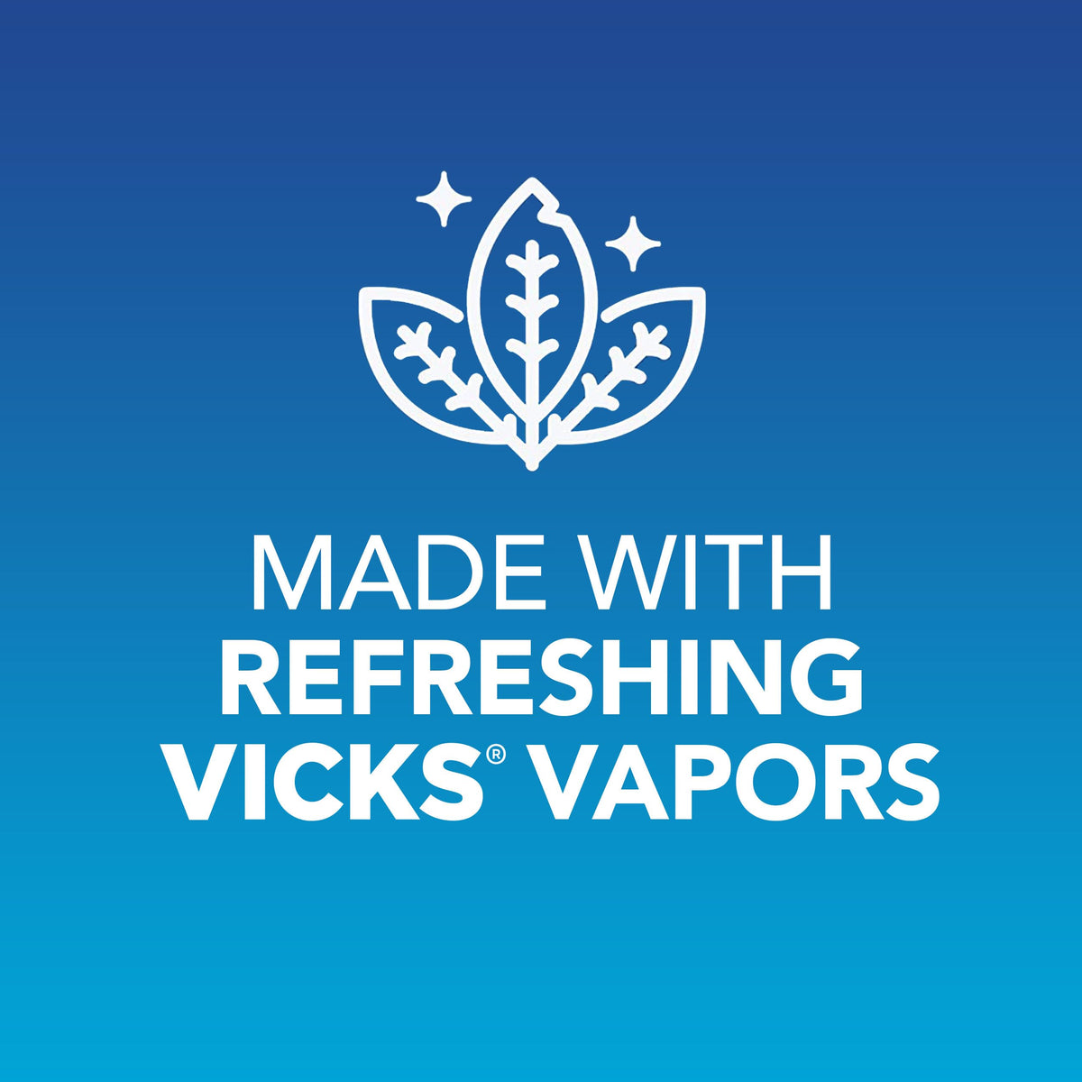 VapoInhaler 2 pack & Vicks Vapo Rub 3 pack – 2 Count