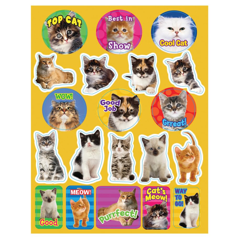 Motivational Cats by Eureka – Multicolor, Pack of 120, Model EU-655202-12