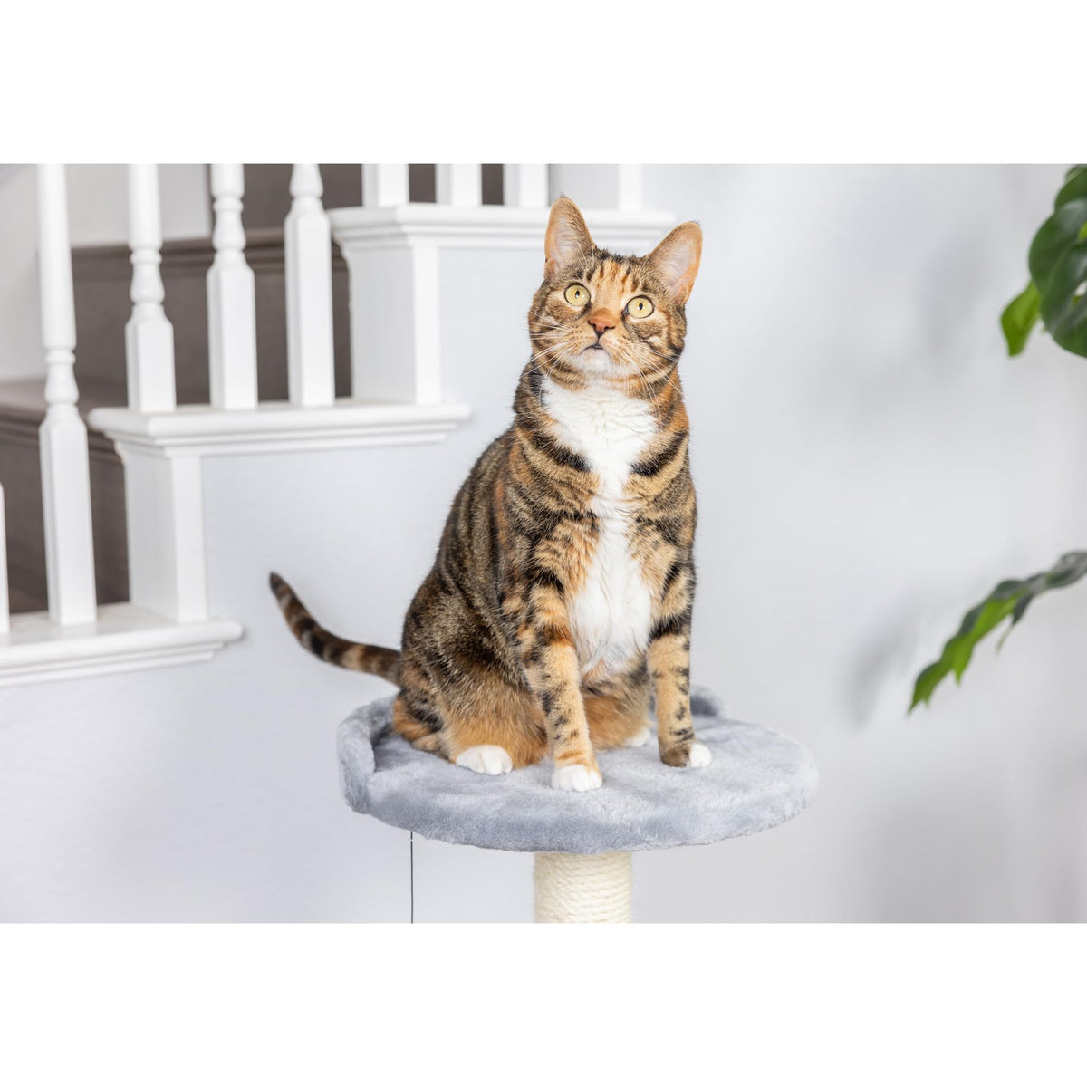 AeroMark Three Level Compact Scratcher by Armarkat – 14 LB, Engineered Wood, Silver Gray, Model X2905