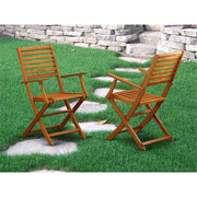 Beasley Folding Patio Dining Chairs With Arm Rest - Acacia Wood by East West Furniture – Set of 2, Wood, Natural Oil, Pack of 2, Model BBSCANA