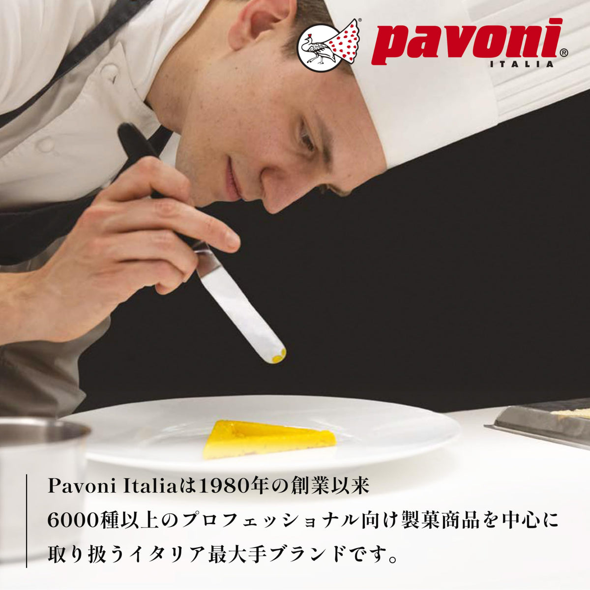 Pavoflex Silicone Baking Mold Freezing Mould by Pavoni – 100 milliliters, Silicone, Black, Model PX4305