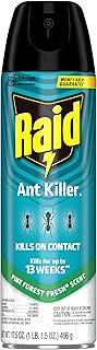 Raid Ant Killer Spray Kills on Contact Pine Forest Fresh Scent Defense System 17.5 Ounce (Pack of 1)