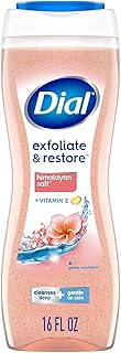 Dial Enriching Body Wash, Himalayan Salt 16 oz (Pack of 4)