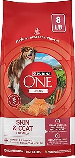 Purina ONE Plus Skin & Coat, Sensitive Stomach Dry Dog Food, 8 lb Bag