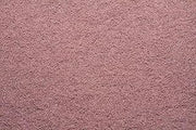 Square Scrub - EBG-20 36 Grit Sandpaper (20/case) (#SS SP1319036)