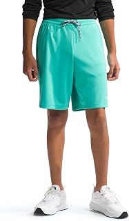 The North Face Boys Boys' Never Stop Shorts (Little Kids/Big Kids)