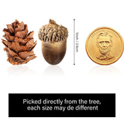Syhood Artificial Acorns and Pine Cones, 200 Count, Natural