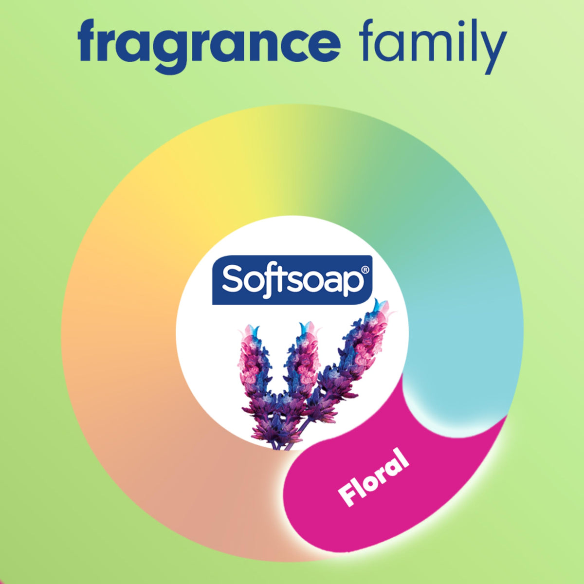 Softsoap Rosewater & Aloe / 11.25 Fl Oz (Pack of 6) / Clear Hand Wash