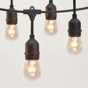 15 Clear Incandescent Edison Bulb Lights by PHILIPS – 28, Copper, Clear, Model 639304-278
