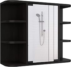 24" Roma Mirrored Medicine Cabinet with Six External Shelves and Three Interior Shelves by DEPOT E-SHOP – Engineered Wood, Black Wengue