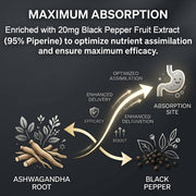 Ashwagandha 1200mg Root Extract - 60 Capsules Supplement Standardized to 5% Withanolides with Black Pepper - Daily Focus & System Balance by Sensrit – Model SR-ASH-60-V1