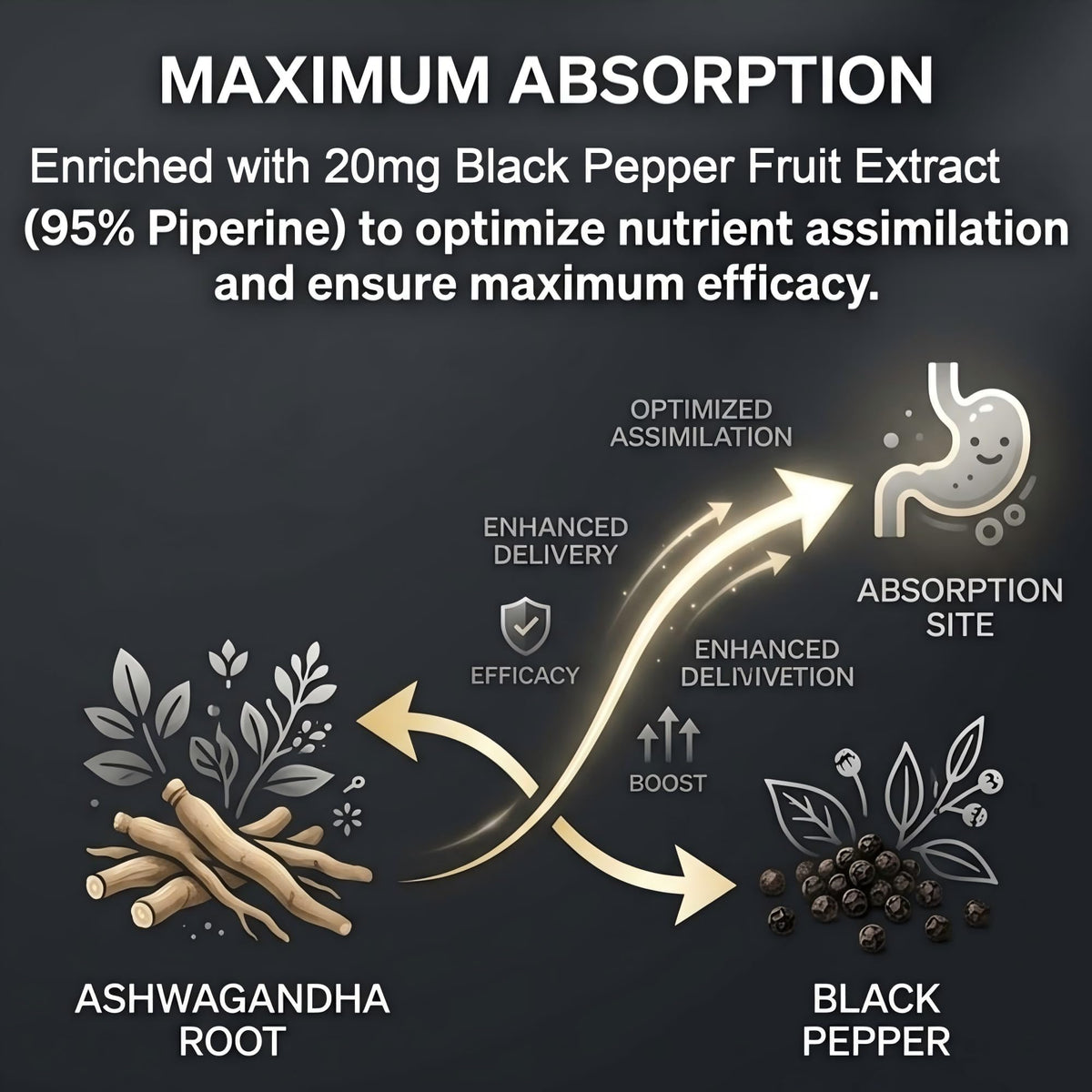 Ashwagandha 1200mg Root Extract - 60 Capsules Supplement Standardized to 5% Withanolides with Black Pepper - Daily Focus & System Balance by Sensrit – Model SR-ASH-60-V1