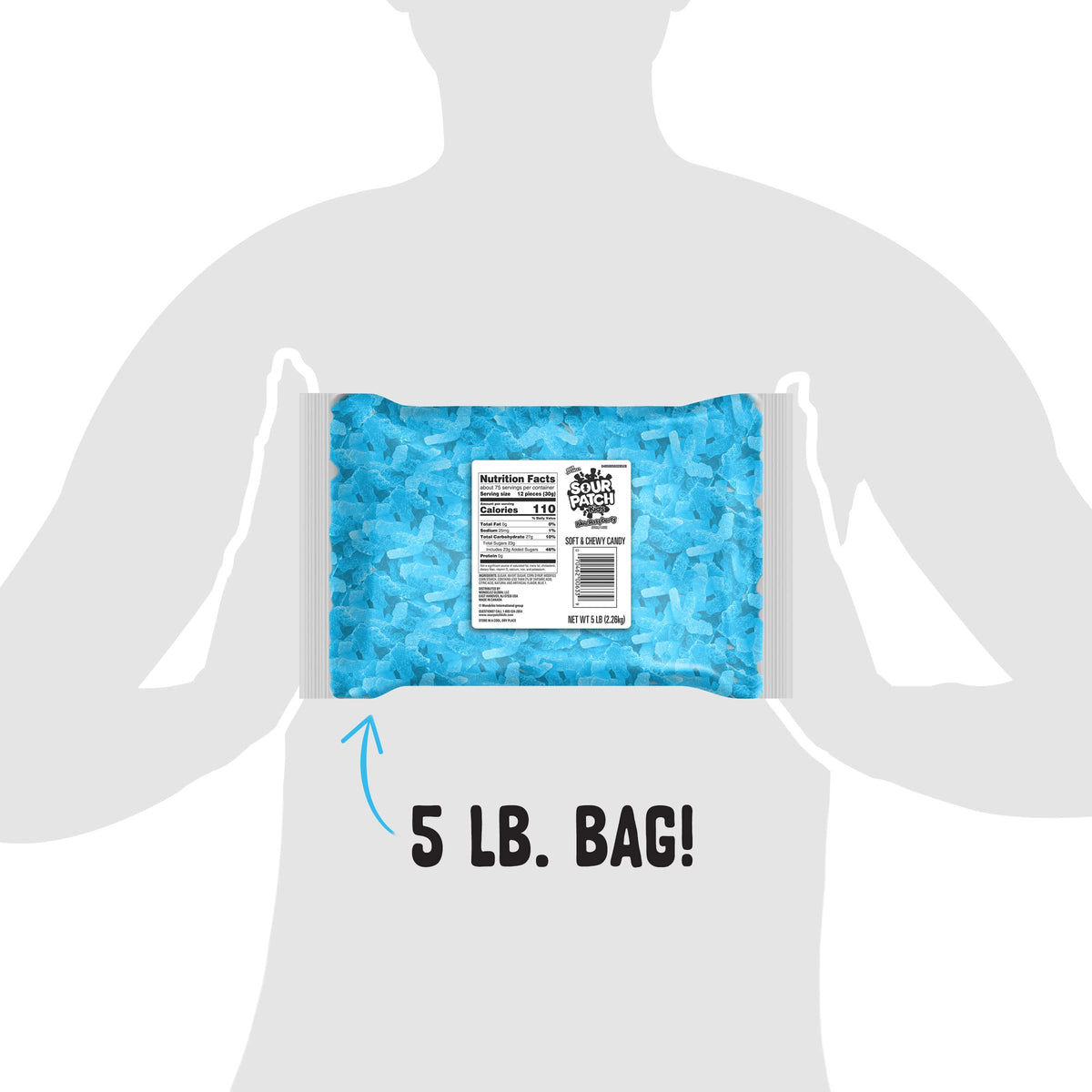 Blue Raspberry Soft & Chewy Candy by Sour Patch Kids – 5 Pound (Pack of 1), Blue