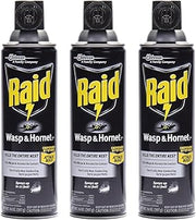 Raid Wasp and Hornet Killer Spray, 14 oz(pack of 3)