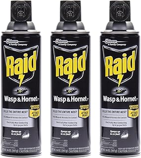 Raid Wasp and Hornet Killer Spray, 14 oz(pack of 3)