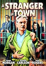 A Stranger in Town