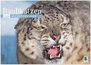 Predatory Cats: Soft Hunters (Wall Calendar 2026 DIN A2 Landscape), CALVENDO Monthly Calendar: Predators: Elegant, Strong and Dangerous