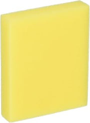 Bissell Pre-Motor 2410 3918 9595 Filter