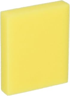 Bissell Pre-Motor 2410 3918 9595 Filter