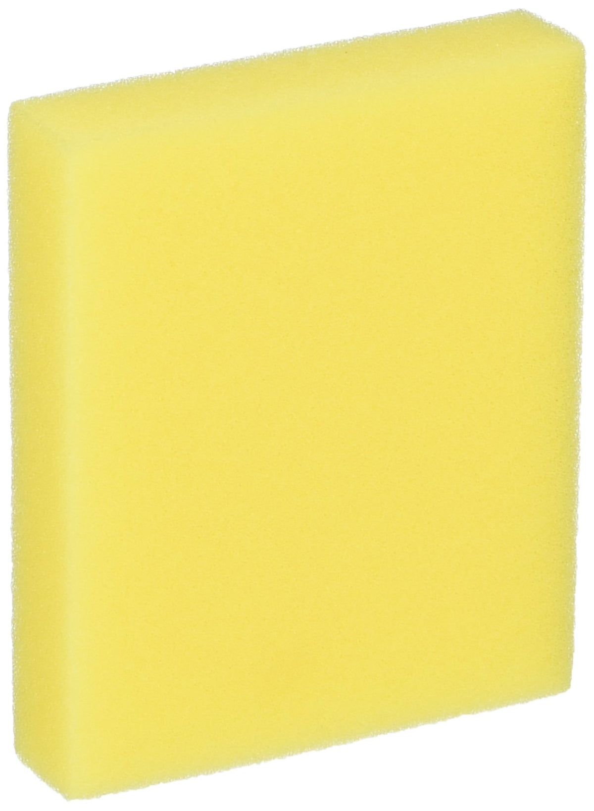 Pre-Motor 2410 3918 9595 Filter by Bissell – Model 203-2662