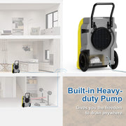 ALORAIR Yellow / Large / Storm Elite Dehumidifiers