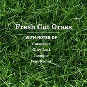 Mrs. MEYER'S Tomato Vine + Dandelion + Fresh Cut Grass / 12.5 Fl Oz (Pack of 1) / 1 All-Purpose Cleaners